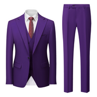Herren Klassisch Stylisch Hochzeitsgast Anzug Set | Zweiteilig – Dunkellila