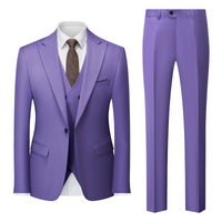 Herren Klassisch Stylisch Hochzeitsgast Anzug Set | Zweiteilig – Lila