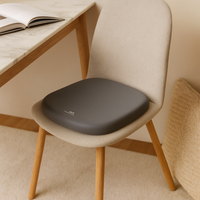Ervona | Ergonomisches Memory Foam Sitzkissen – Hellgrau