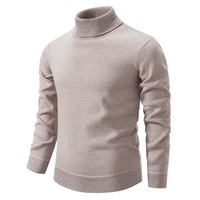 Herren-Rollkragenpullover – klassisches Design – Beige