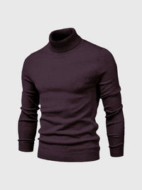 Herren-Rollkragenpullover – vielseitige Kombinationsmöglichkeiten und zeitloses Design – Braun