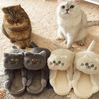 Kuschelige Katzenpantoffeln – Grau