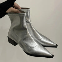 Lucille Spitz Zulaufende Stiefeletten – Silber